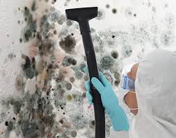 Best Industrial Mold Remediation  in Arrowhead Beach, NC